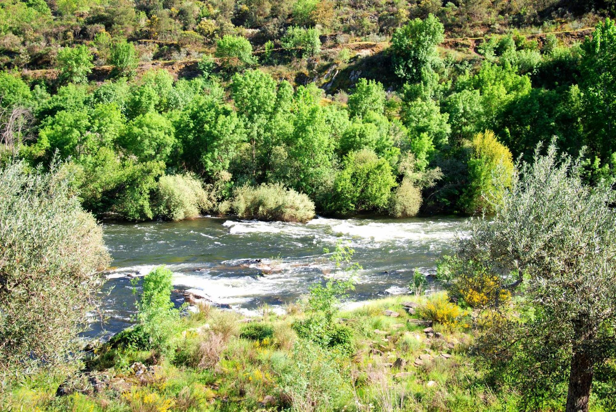 Casa Oliveiras Do Douro Villa Sobreira Екстериор снимка