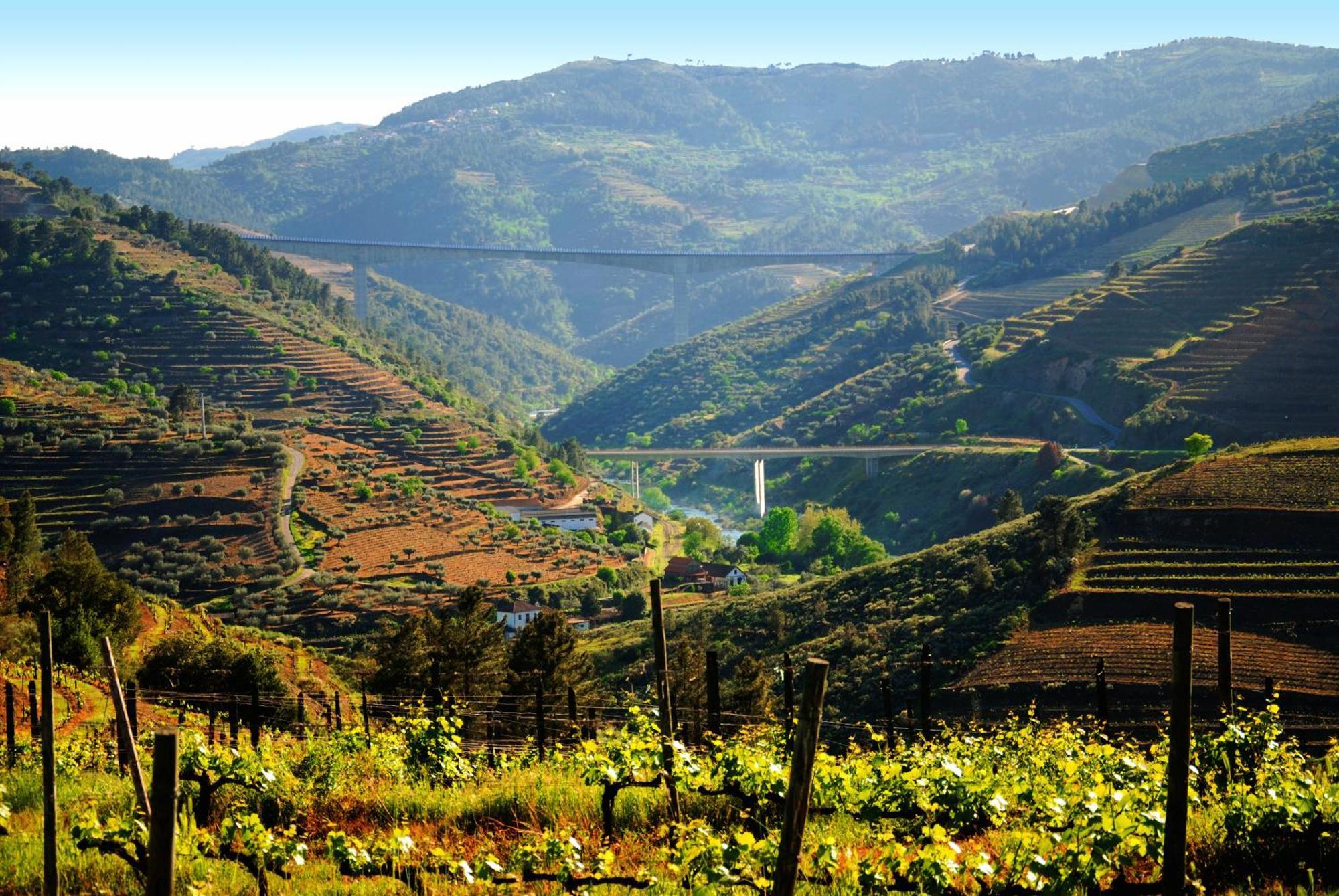 Casa Oliveiras Do Douro Villa Sobreira Екстериор снимка