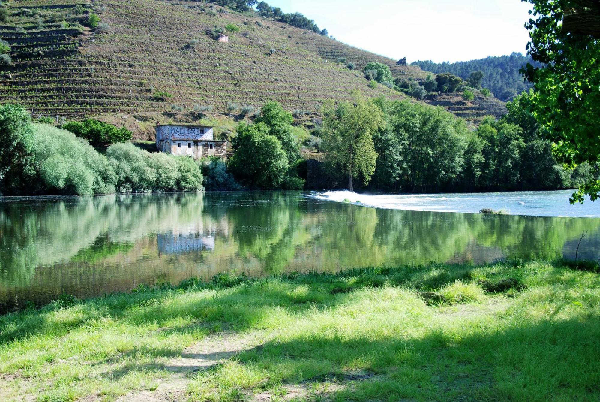 Casa Oliveiras Do Douro Villa Sobreira Екстериор снимка