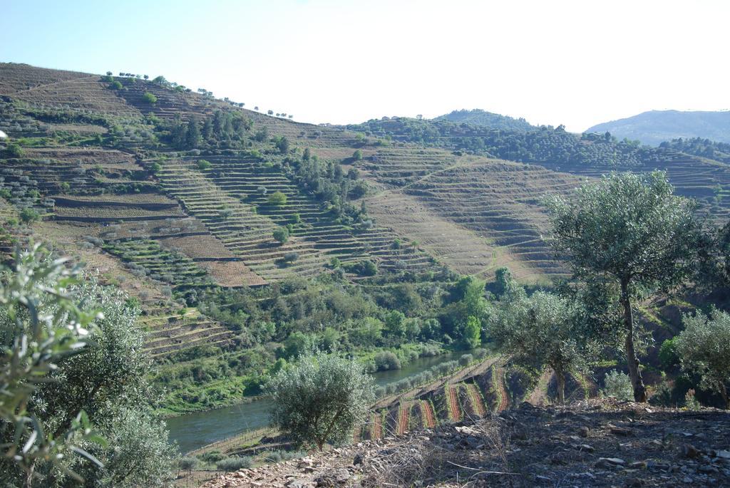 Casa Oliveiras Do Douro Villa Sobreira Екстериор снимка