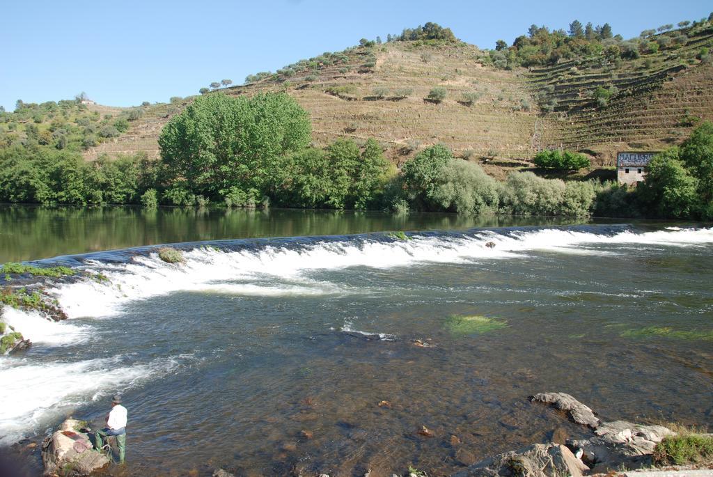 Casa Oliveiras Do Douro Villa Sobreira Екстериор снимка
