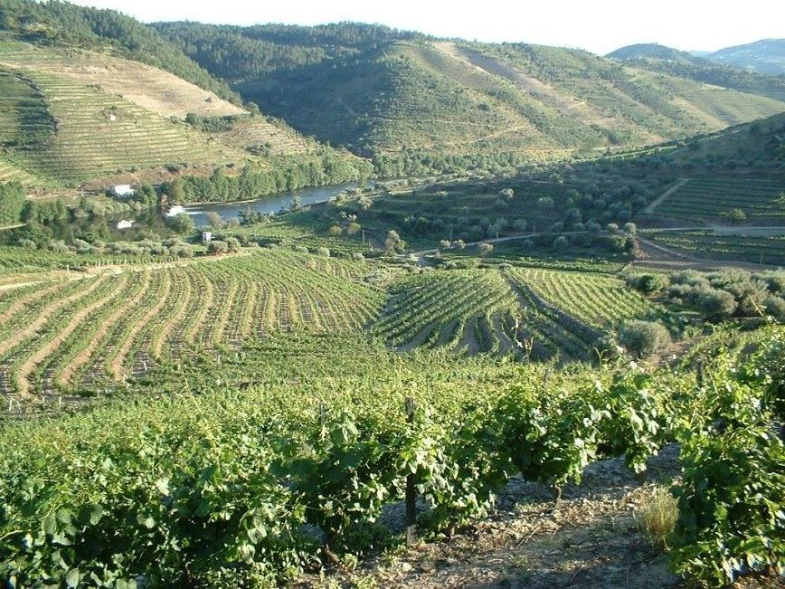 Casa Oliveiras Do Douro Villa Sobreira Екстериор снимка