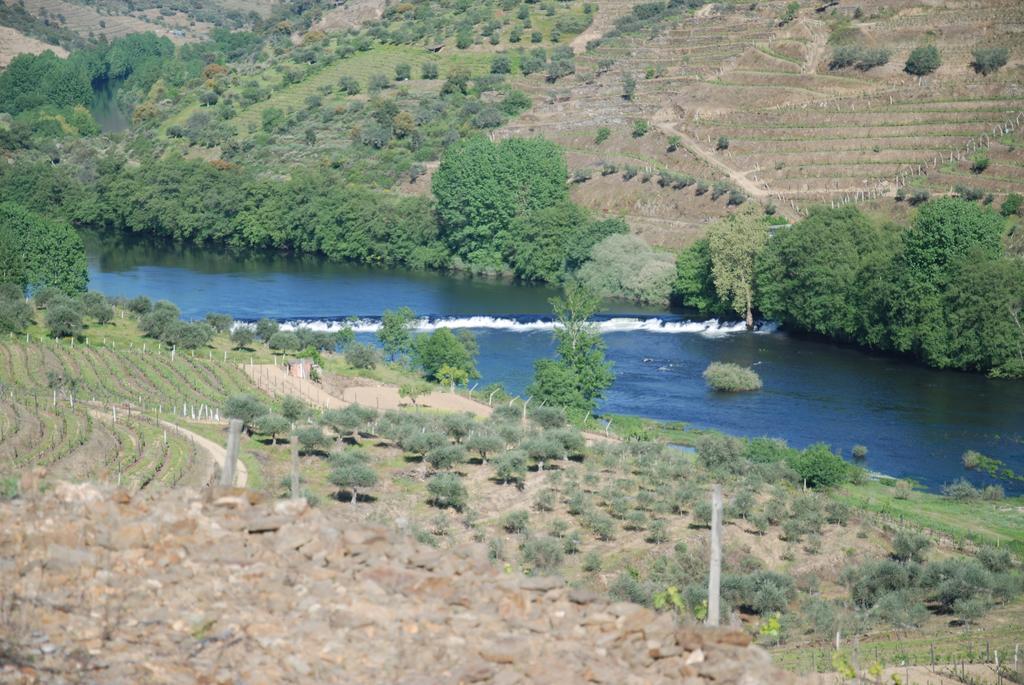 Casa Oliveiras Do Douro Villa Sobreira Екстериор снимка